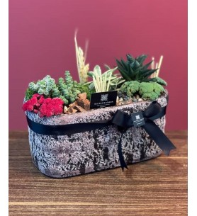 Terrarium kuru çiçek aranjman