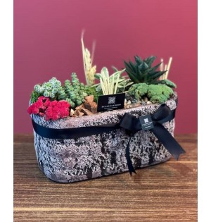Terrarium kuru çiçek aranjman