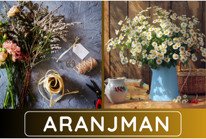 aranjmanlar