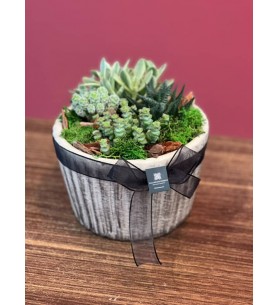 Terrarium özel seramik saksı