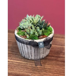 Terrarium özel seramik saksı