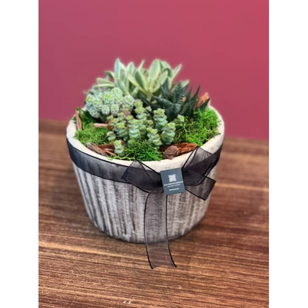 Terrarium özel seramik saksı