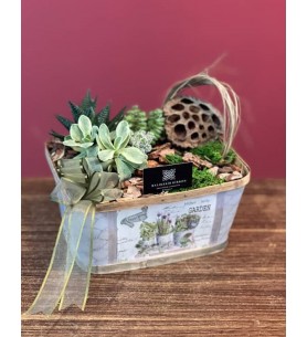 Terrarium özel sepet saksı içersinde