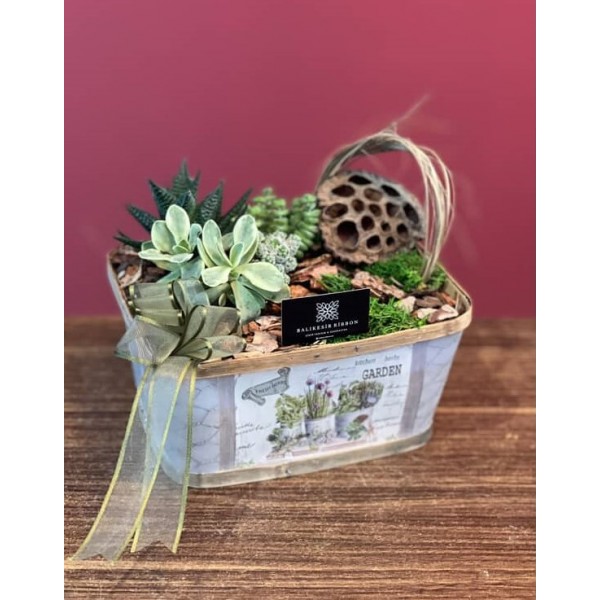 Terrarium özel sepet saksı içersinde